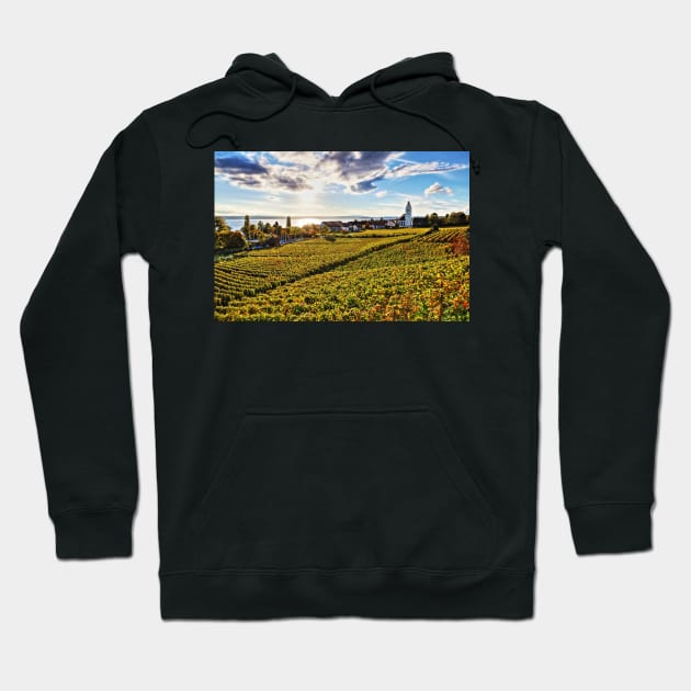 Sunset over Grape Orchards near Hagnau - Lake Constance Hoodie by holgermader